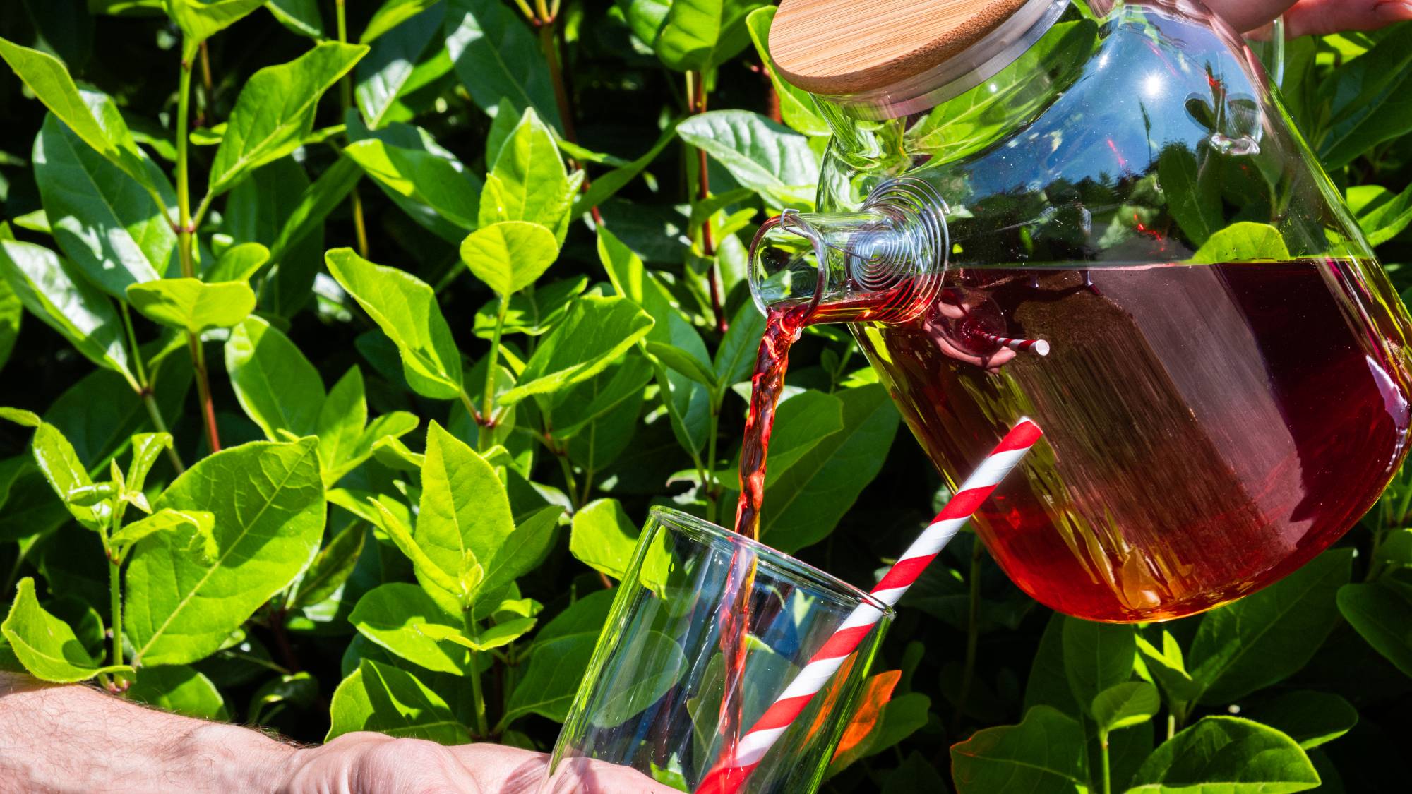 Du thé froid versé dans un verre, dans un décor naturel.