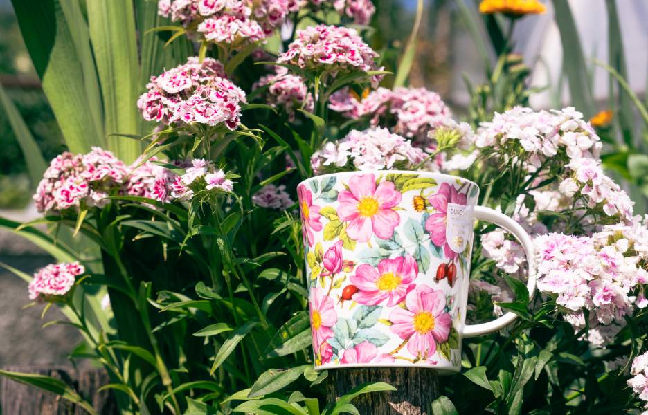 Assortiment de produit Dunoon.