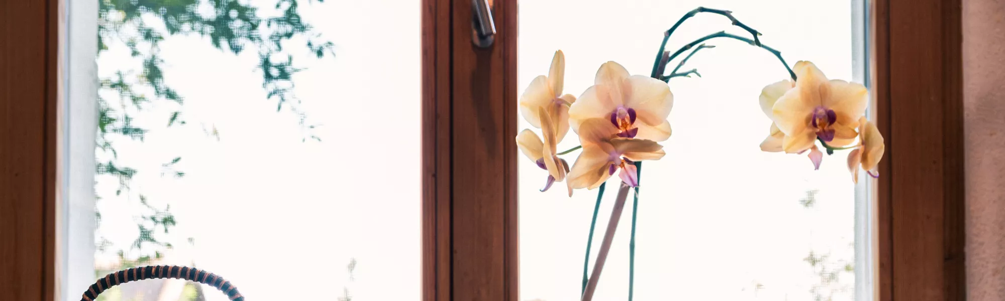 Vaisselle japonaise pour manger.