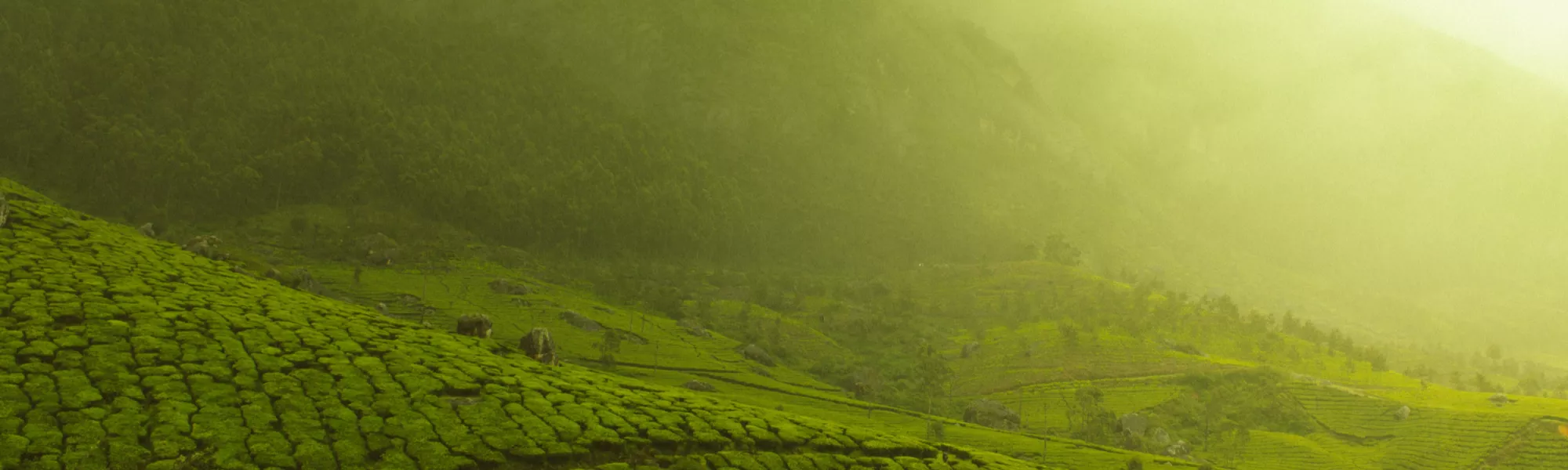 Valeurs écologiques