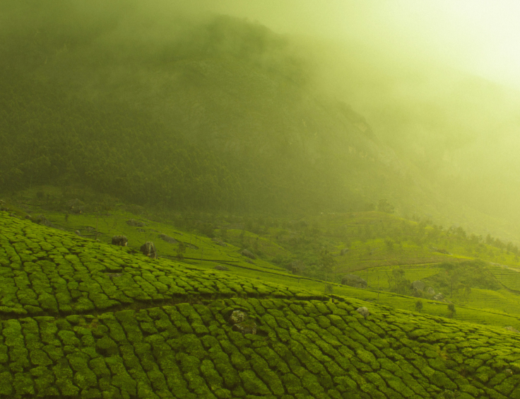 Valeurs écologiques